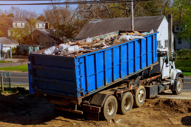 Best Hoarding Cleanup  in Tremont, IL